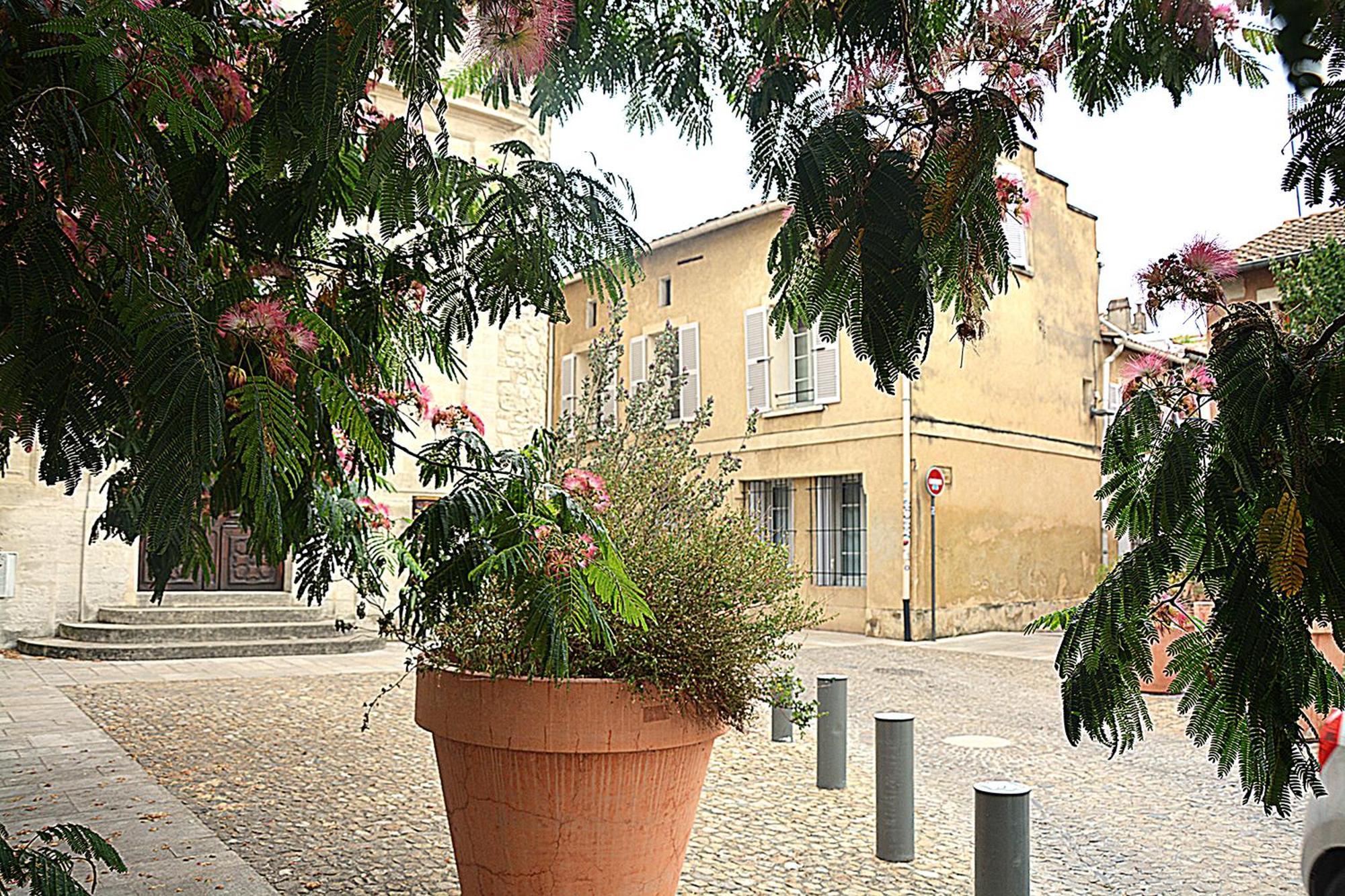 Maison Rascas - Centre Historique - Air Conditioning- Wifi Avignon Eksteriør billede